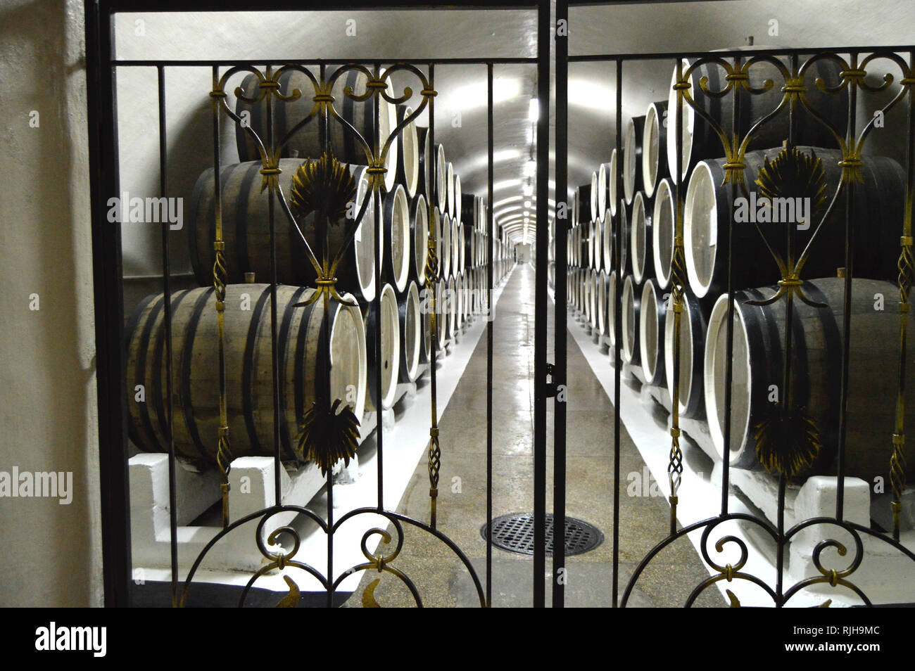 Through the wroughtiron metal gate you can see the wine cellar with