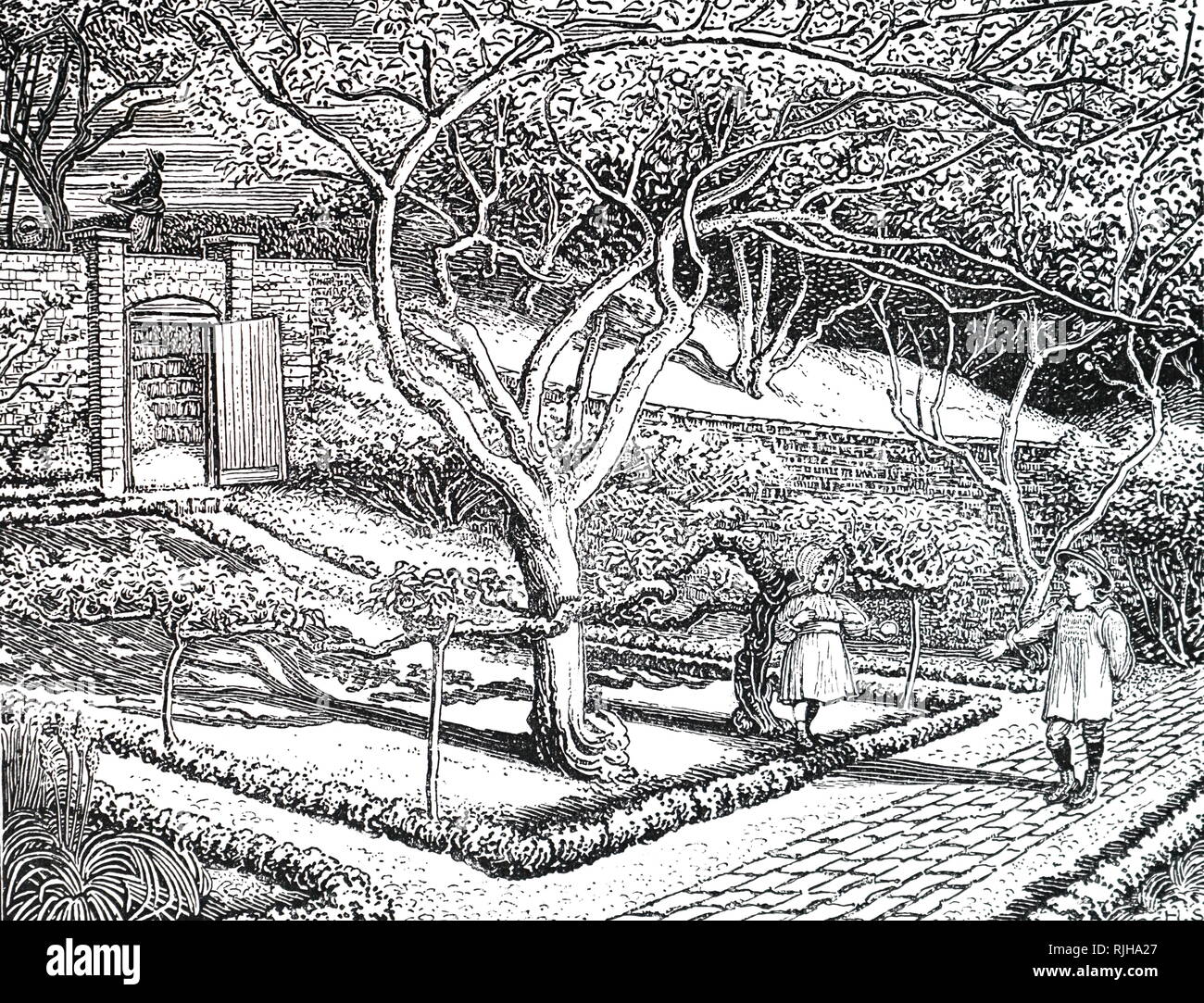 A Hand roller for gardening works, vintage line drawing or engraving  illustration Stock Vector Image & Art - Alamy