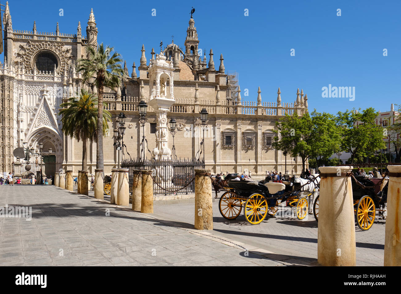 Seville Cathedral, Saint Mary of the See, from the Plaza del Triunfo, Sevilla, Andalucia, Spain, Stock Photo
