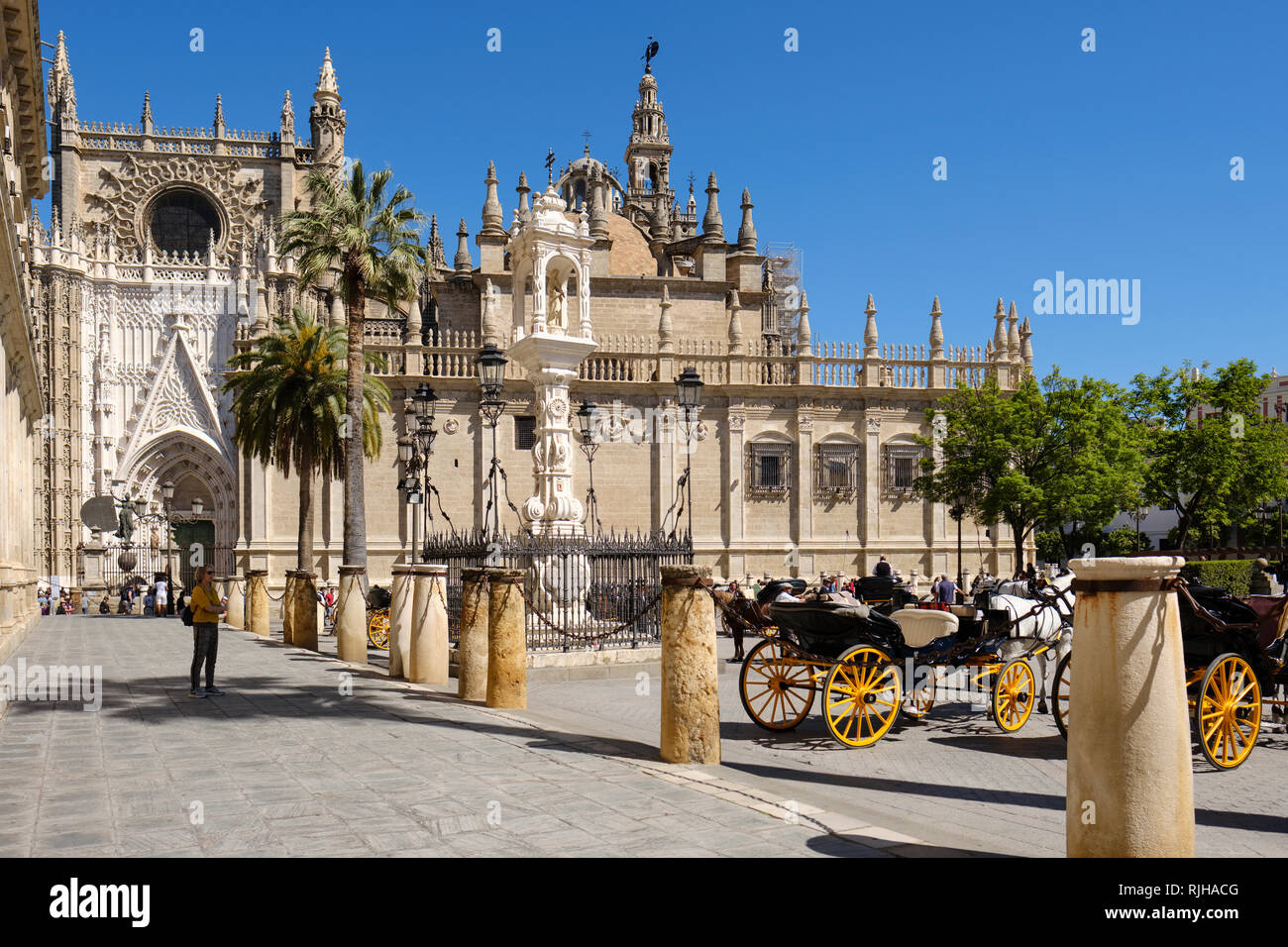 Seville Cathedral, Saint Mary of the See, from the Plaza del Triunfo, Sevilla, Andalucia, Spain, Stock Photo