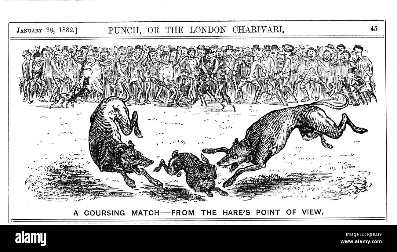 A cartoon commenting on hare coursing - the pursuit of hares with greyhounds and other sighthounds, which chase the hare by sight, not by scent. Dated 19th century Stock Photo