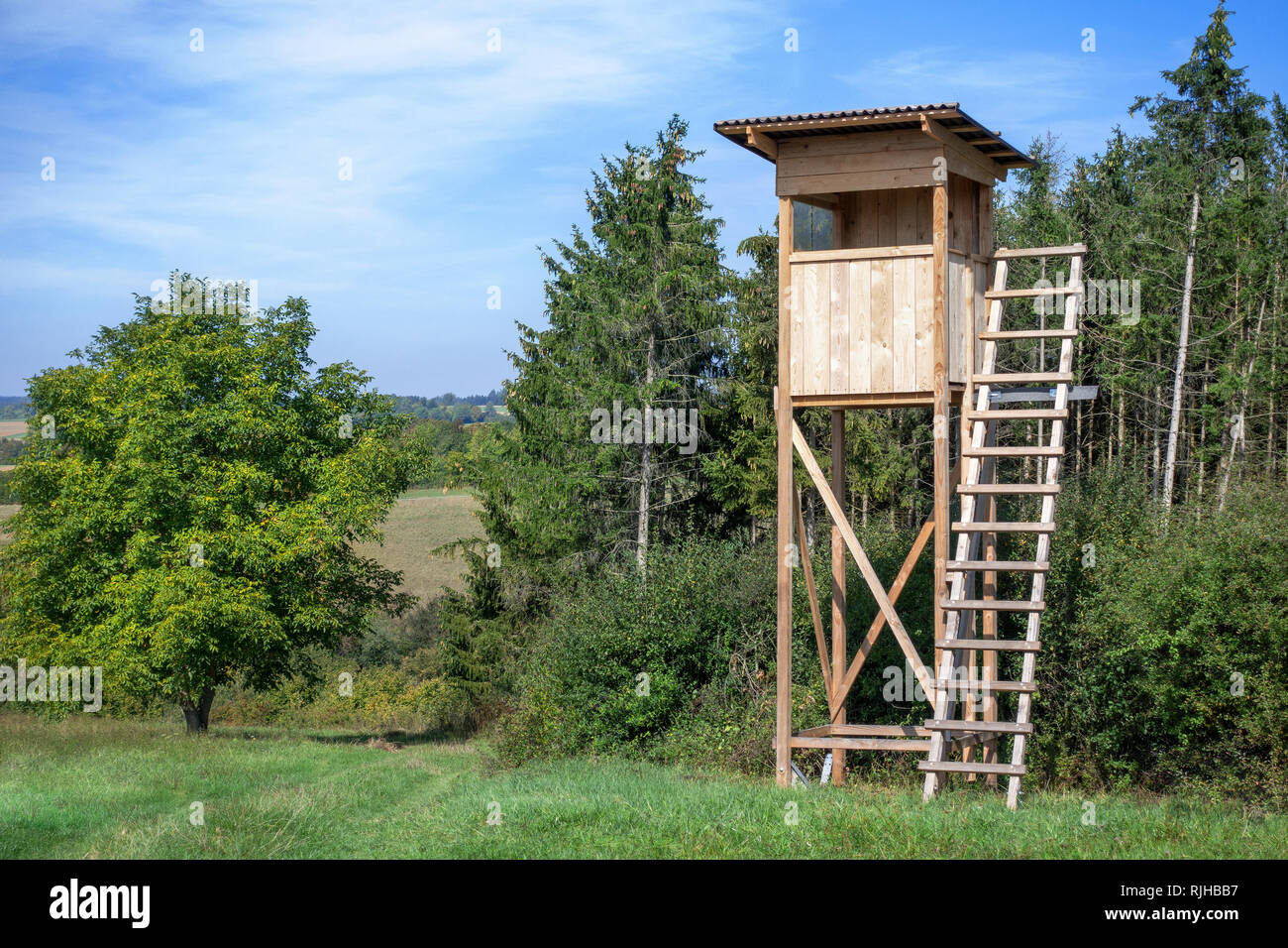 Raised hide on a meadow at the edge of the forest Stock Photo
