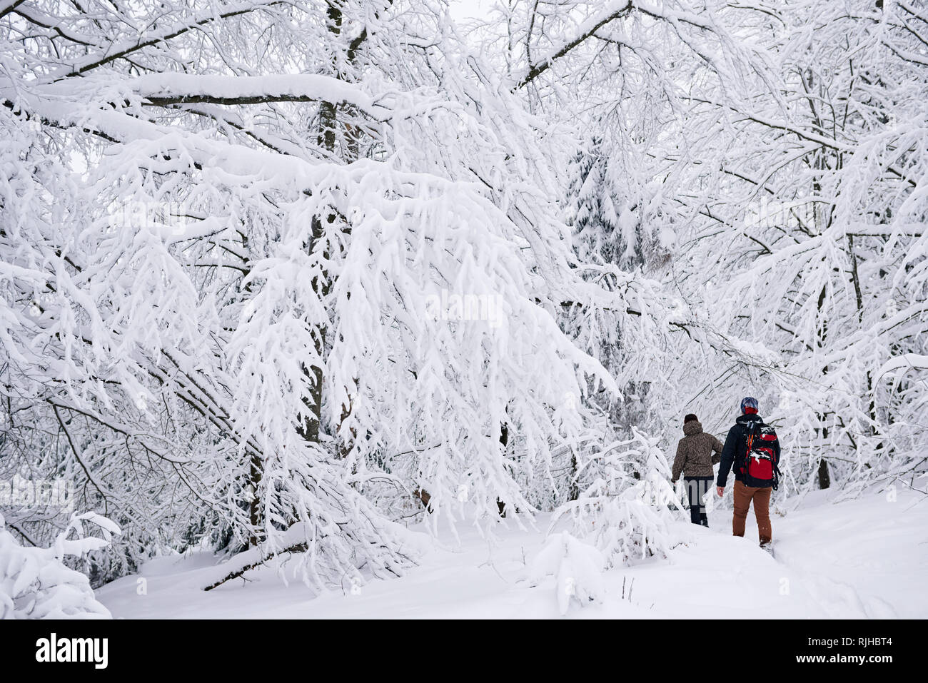 Couple walking along a snowy path while out hiking Stock Photo - Alamy