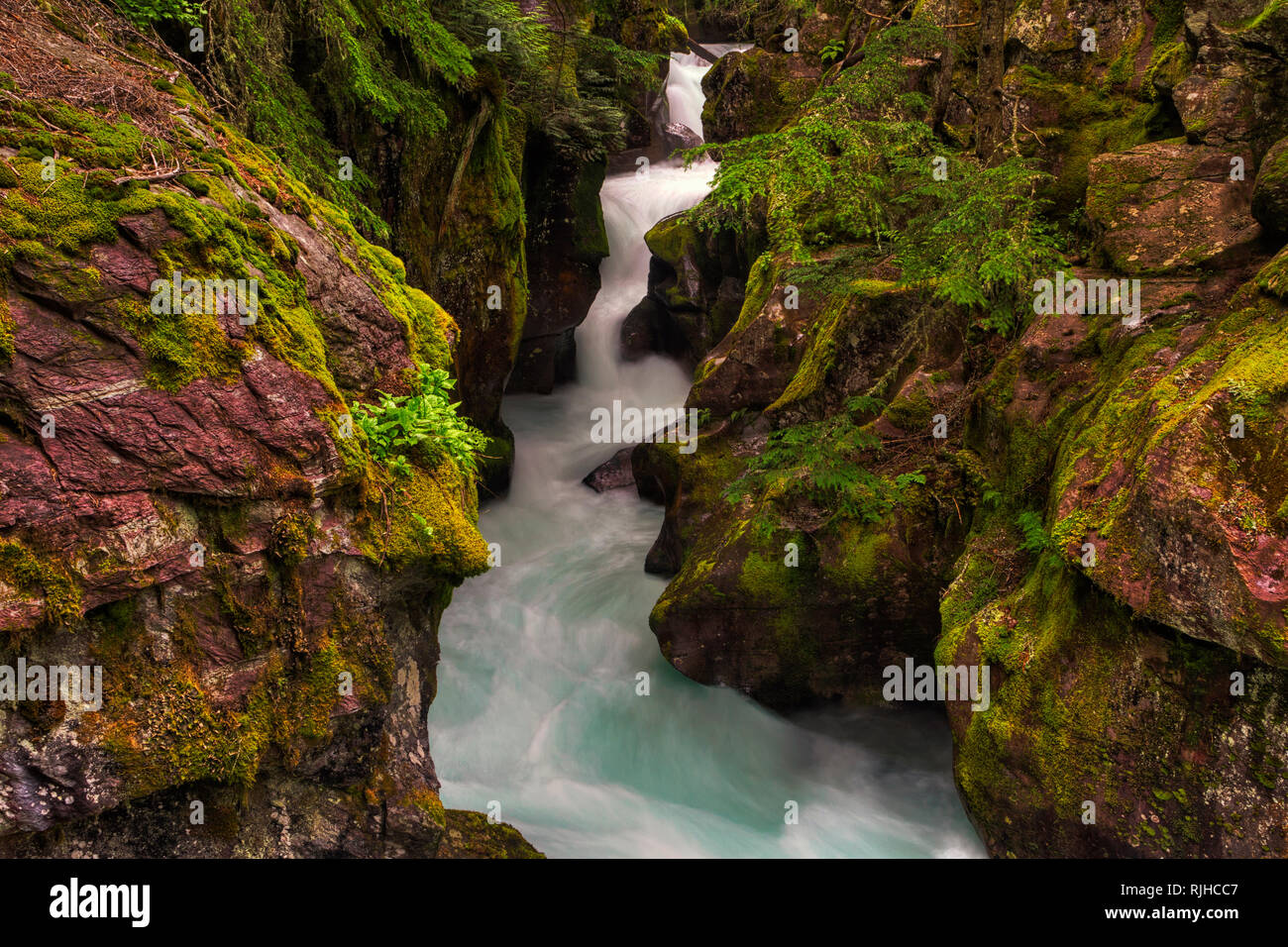 One of the more iconic areas on the west side of Glacier National Park is Avalanche Falls. Located in an old growth cedar forest. Stock Photo