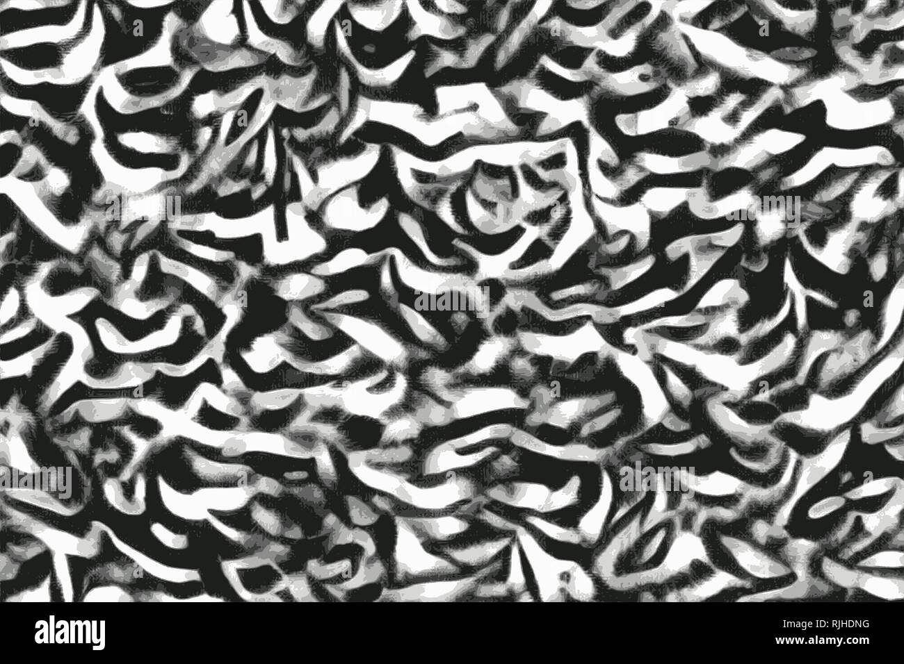 Zebra camouflage animal skin with black and white stripes Stock Photo