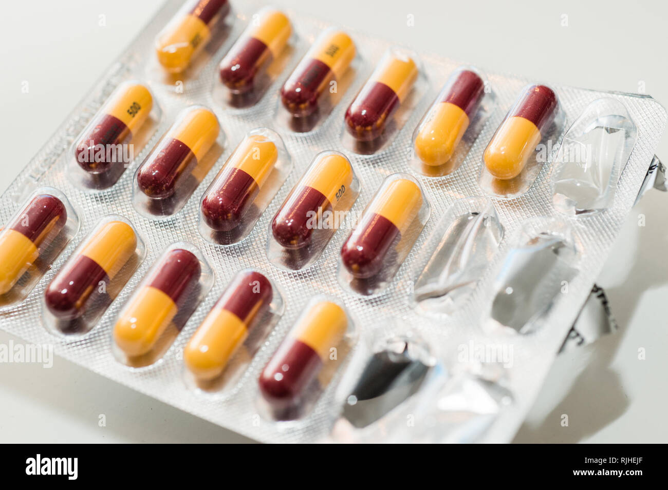 A blister pack of 500 mg AMOXICILLIN antibiotic capsules medicines