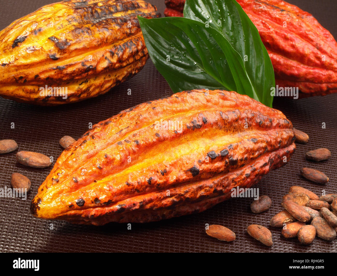 Mexico chocolate cacao hires stock photography and images Alamy
