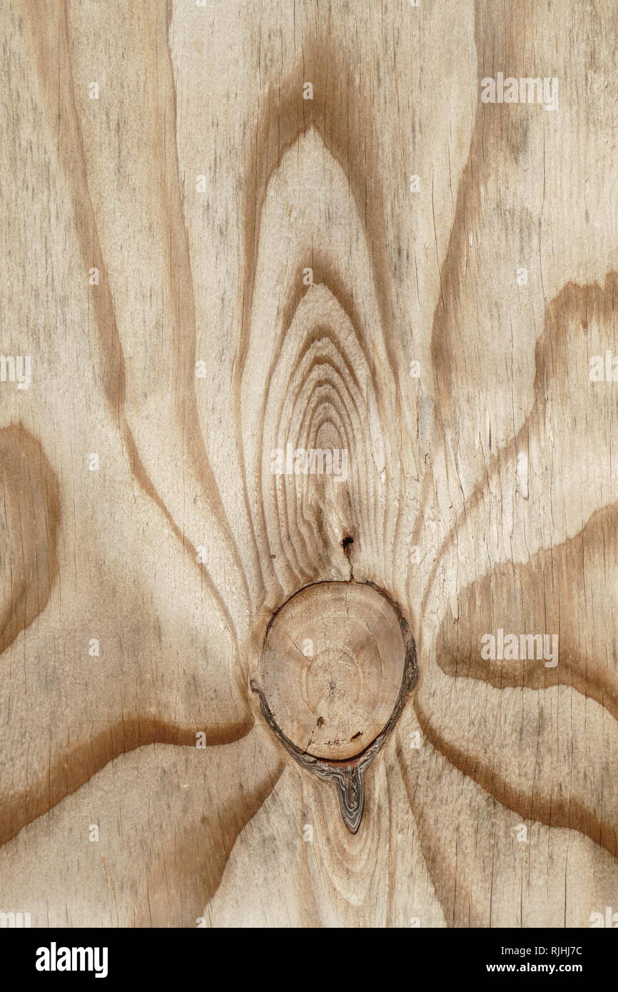 Wood Texture Background Image Light Brown Wooden Wall On A