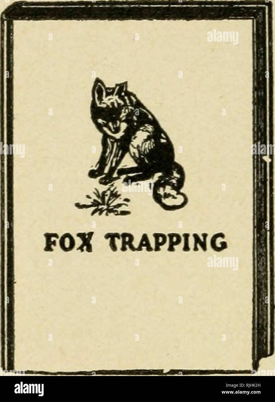 https://c8.alamy.com/comp/RJHK2H/bee-hunting-a-book-of-valuable-information-for-bee-hunters-tells-how-to-line-bees-to-trees-etc-bees-fox-trapping-a-book-of-instructions-telling-how-to-trap-snare-poison-and-shoot-a-valuable-book-for-trappers-the-author-in-his-introduction-to-this-book-says-if-all-the-methods-as-explained-in-this-book-had-been-studied-out-by-one-man-and-he-began-trapping-when-columbus-discovered-america-he-would-be-far-from-com-pleted-the-methods-given-in-this-book-are-largely-from-old-and-experienced-trappers-who-have-given-their-own-suc-cessful-methods-enabling-the-trapper-of-little-experienc-RJHK2H.jpg