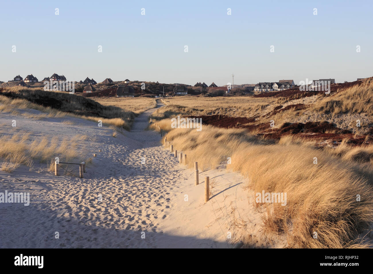 Way through the dunes of Sylt in the evening light Stock Photo