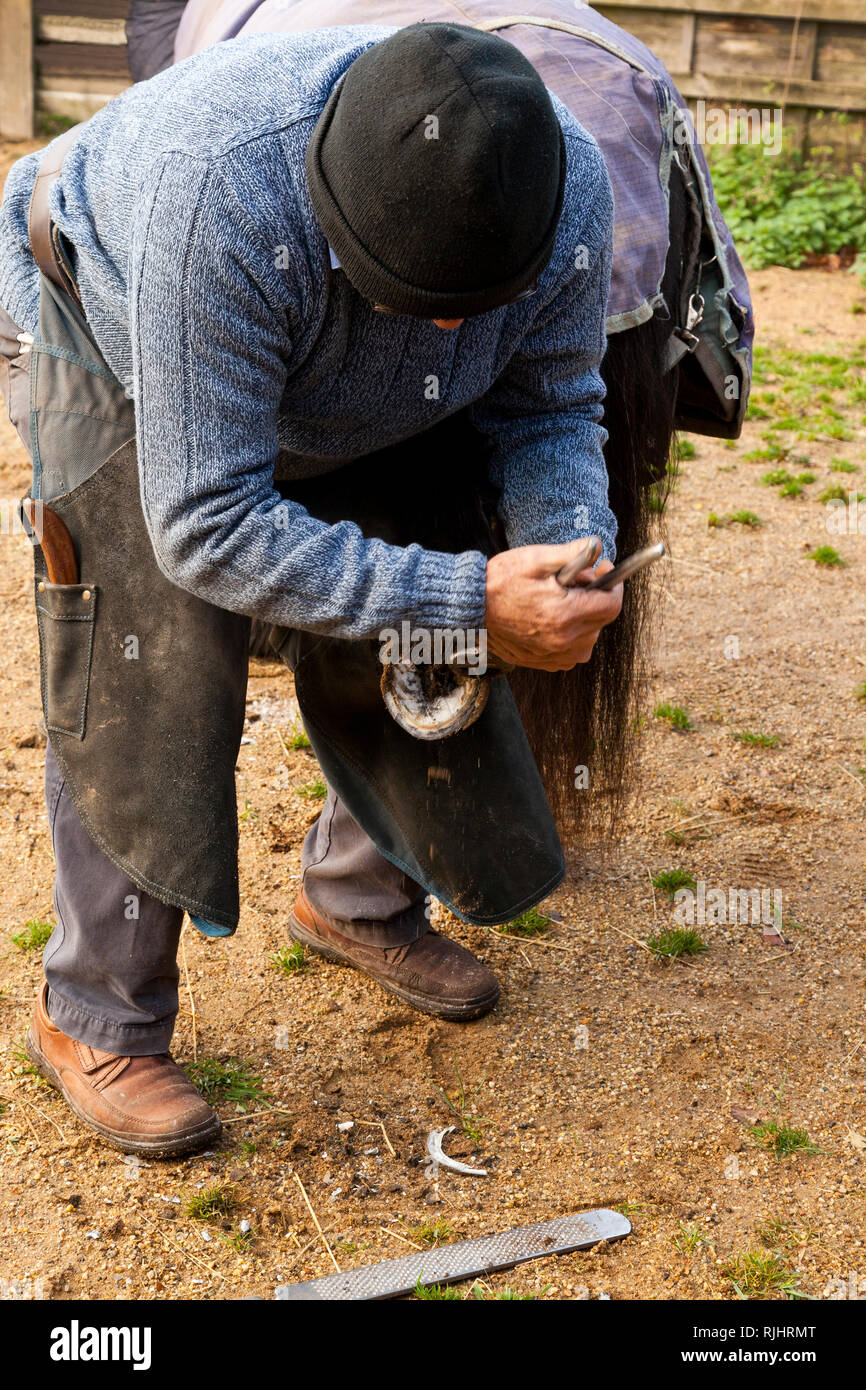 A farrier trimming a horse's hoof Stock Photo Alamy