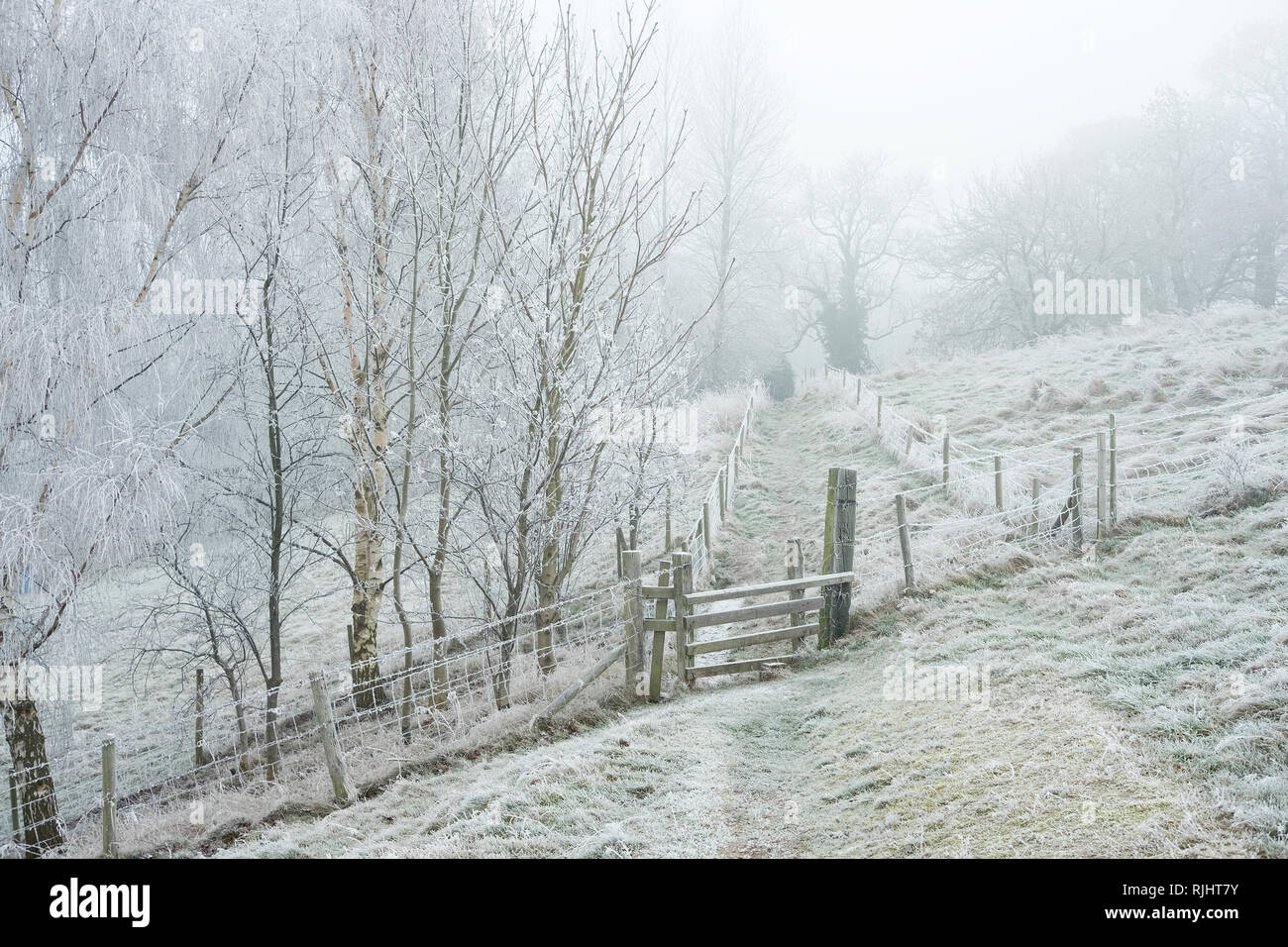 Frost covered hillside fence and stil Stock Photo