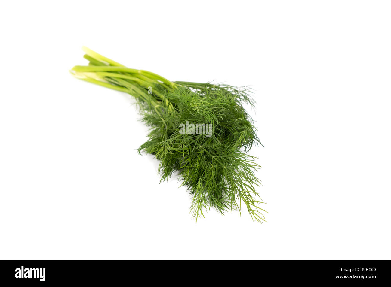 Dill plant hires stock photography and images Alamy