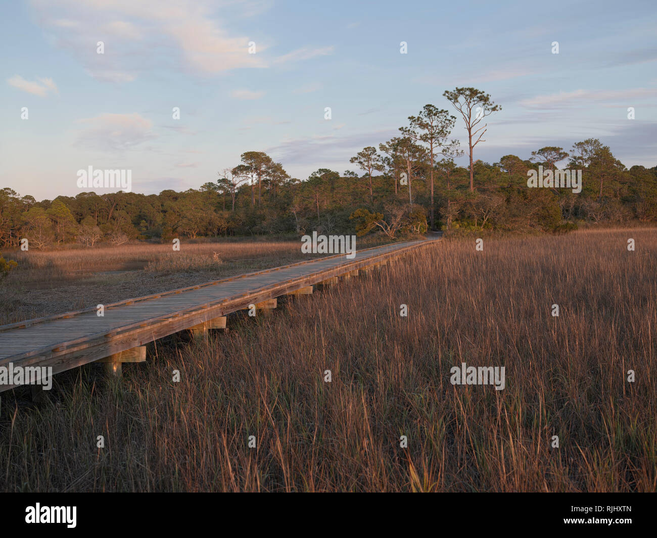 Hunting Island State Park, South Carolina. Marsh Boardwalk Trail area. Elevated boardwalk over marsh. Stock Photo