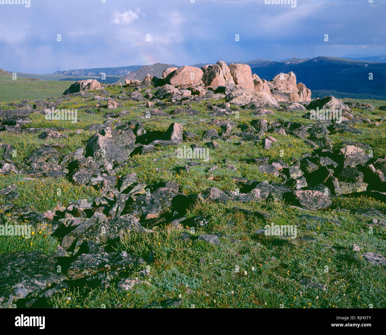 USA, Wyoming, Shoshone National Forest, Alpine tundra, rocks and ...