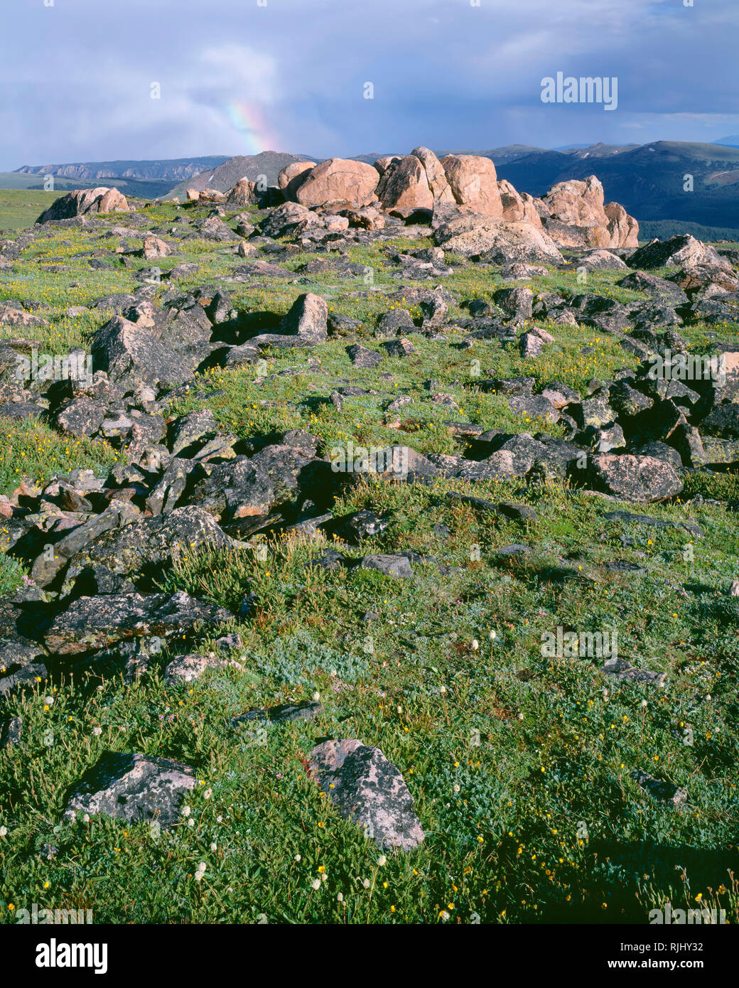 USA, Wyoming, Shoshone National Forest, Alpine tundra, rocks and ...