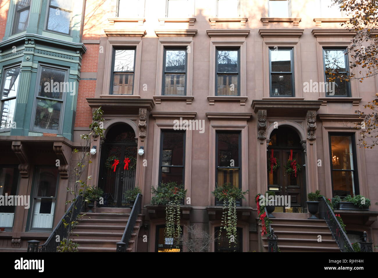 The Beggar King of Brooklyn Heights