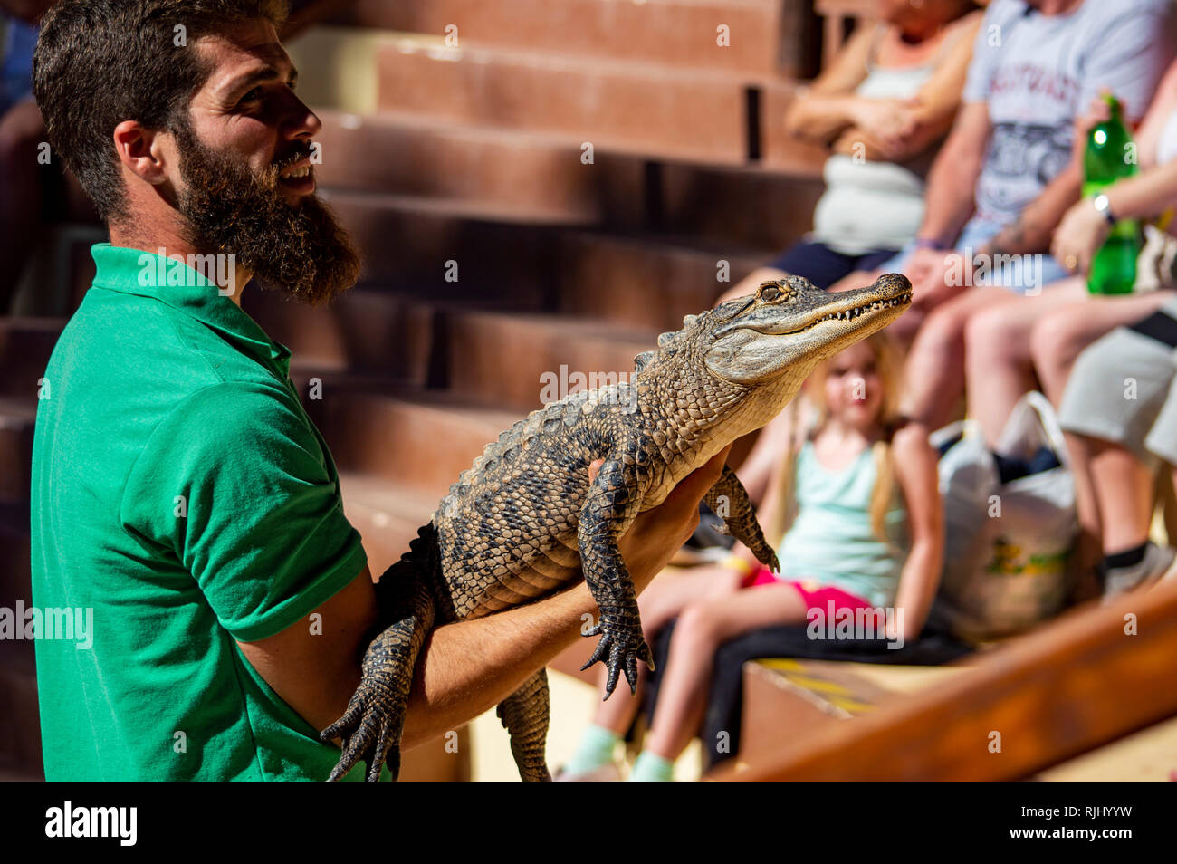 A crocodile at the Oasis Park in Fuerteventura, Canary Islands Stock Photo