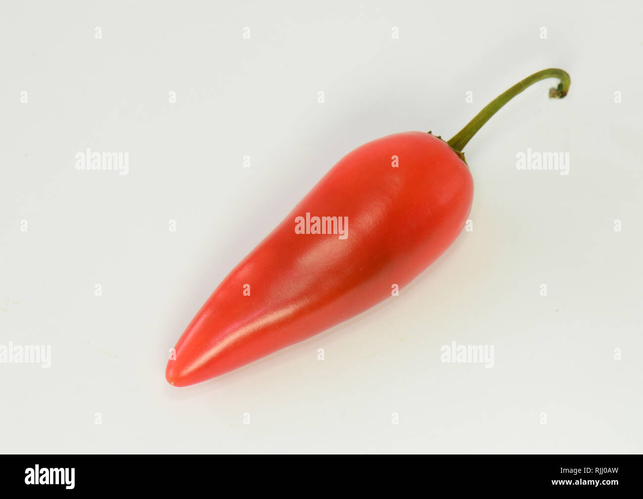 Thai Chili Pepper Rawit (Capsicum annuum). Ripe fruit. Studio picture against a white background. Germany Stock Photo