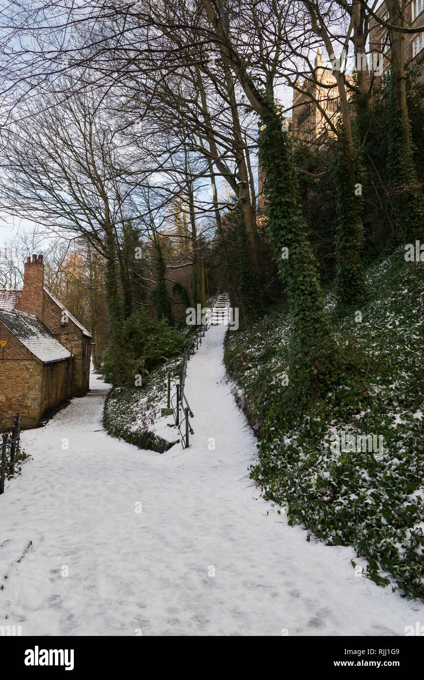 Durham Riverbanks Stock Photo