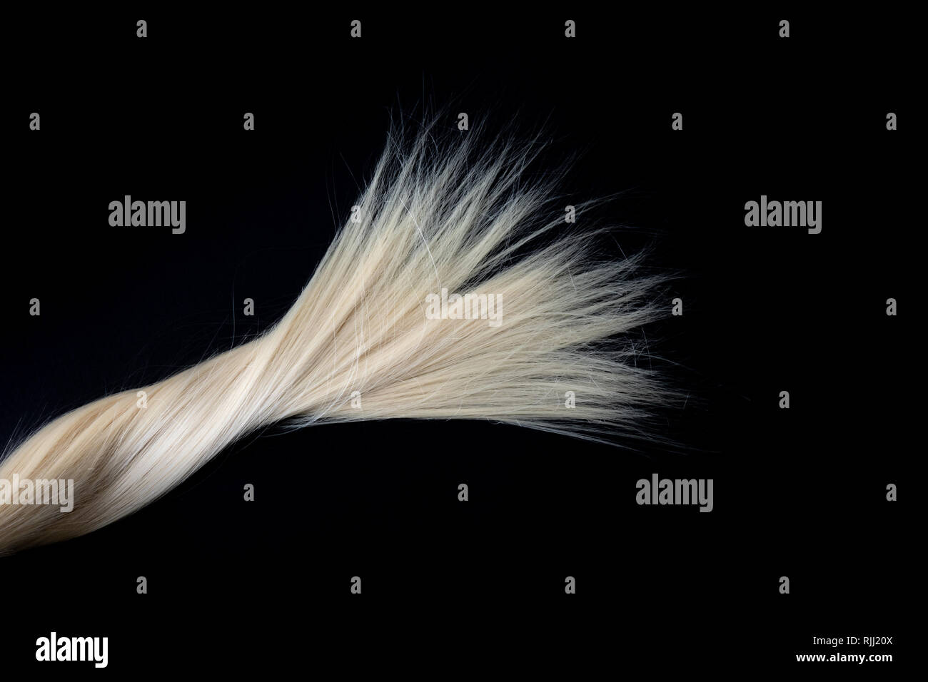 Piece of blond shiny hair texture on black. Abstract fashion style background. Stock Photo