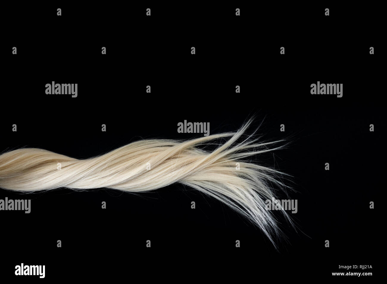 Piece of blond shiny hair texture on black. Abstract fashion style background with copy space. Stock Photo