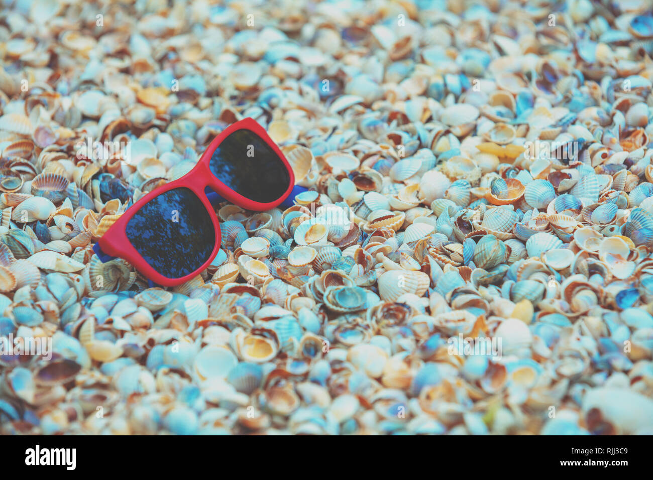 Beach scene. Sunglasses lying on sea shells Stock Photo