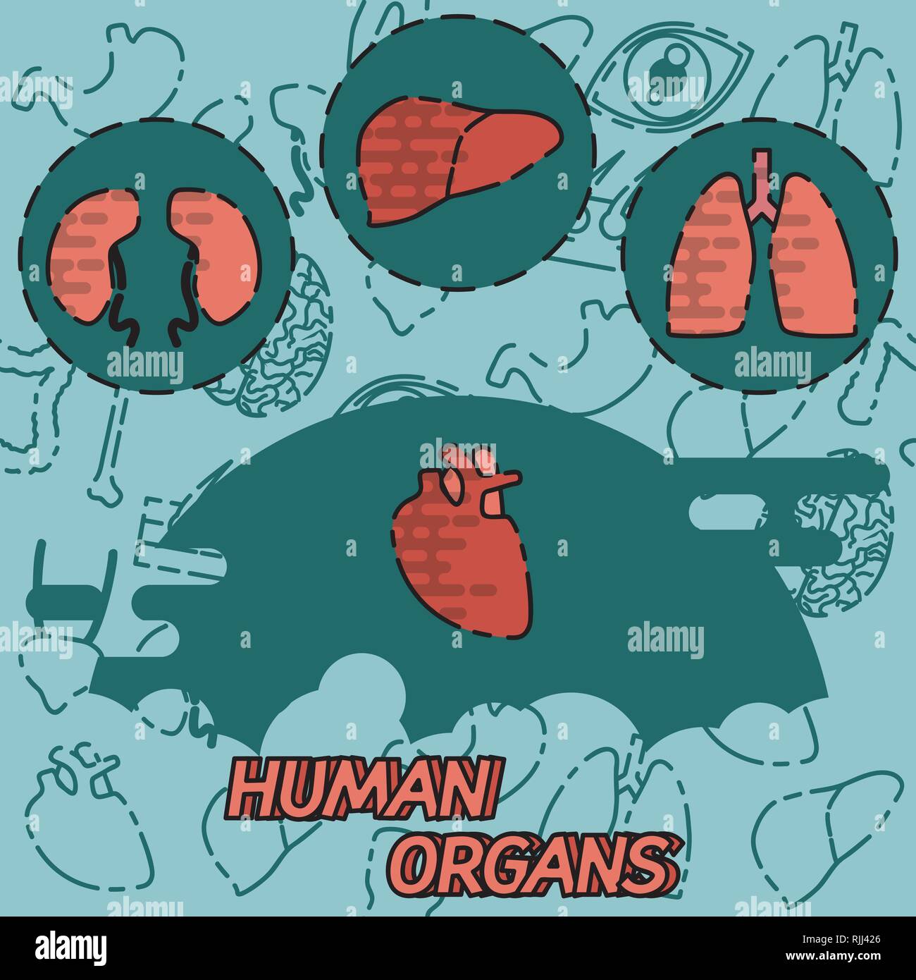Decorative organ emblem hi-res stock photography and images - Alamy