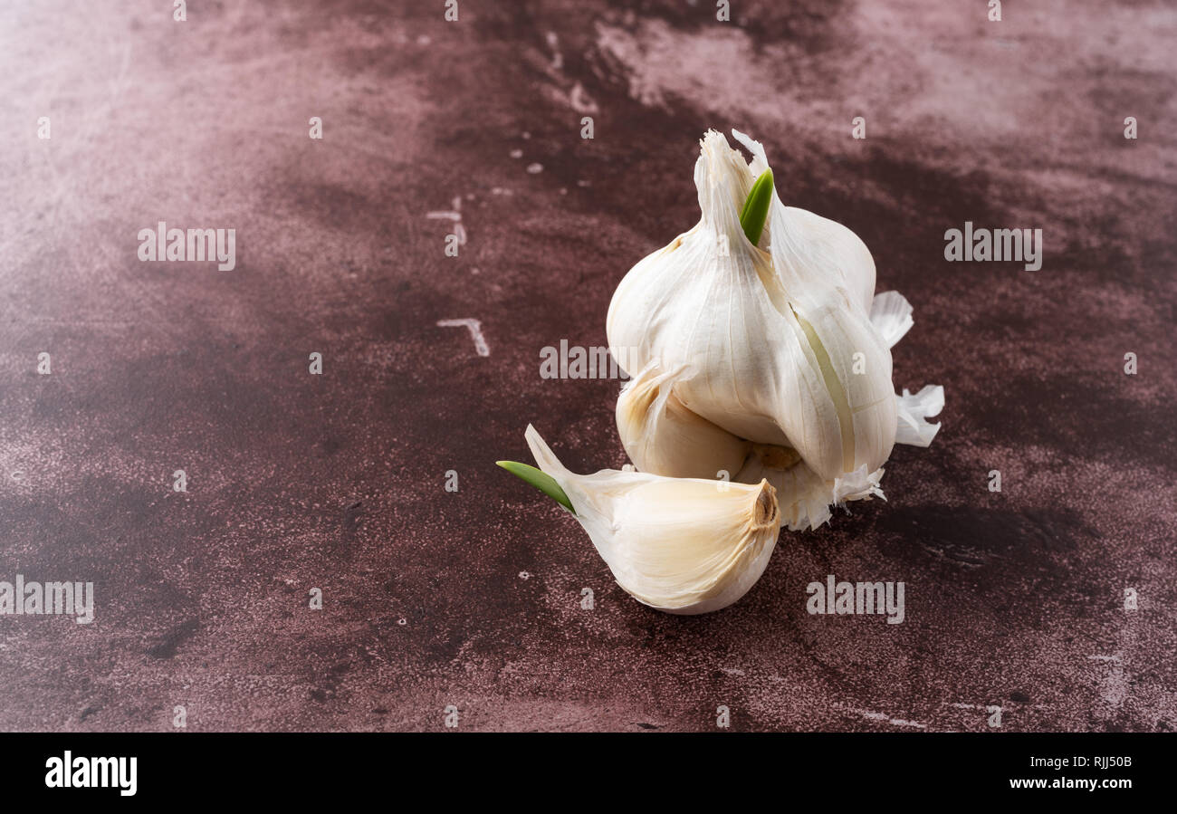 Side view of a sprouting garlic clove in front of a group of cloves on