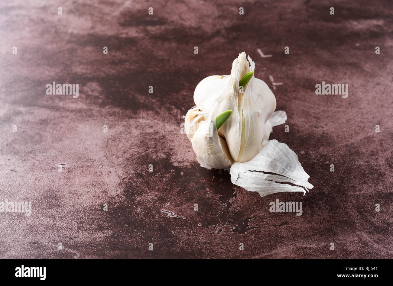 Side view of a head of sprouting and flaking garlic on a red background Stock Photo Alamy