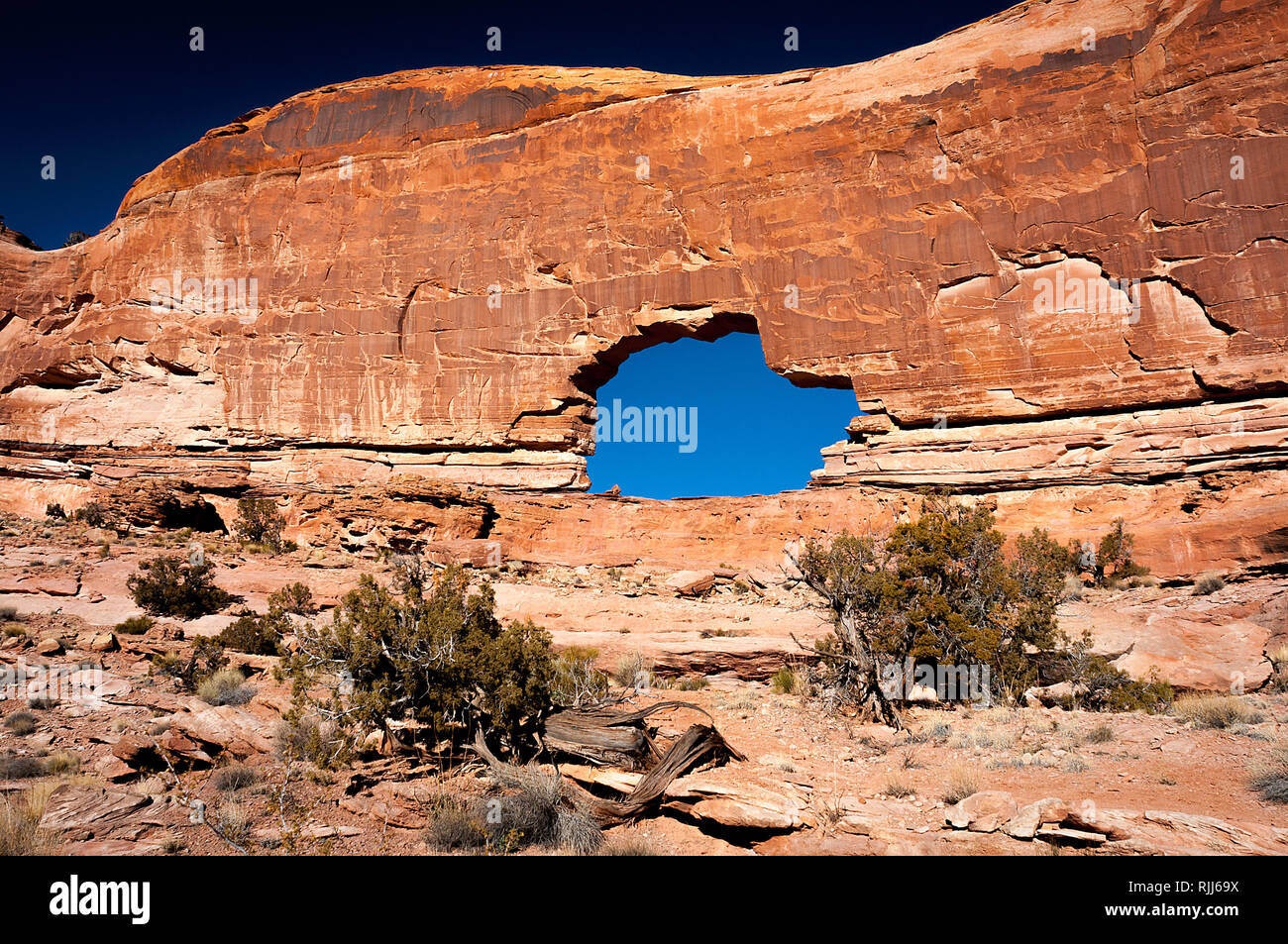 January 2019: Ancient canyon walls and deep winter blue skies frame the spectacular Gold Bar Arch, also known as Jeep Arch, near Canyonlands NP. Stock Photo