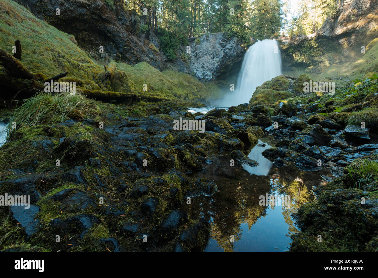 Hiking trails. Sahalie falls, Waterfall in Central Oregon along the McKenzie River in the Cascade Mountains Stock Photo