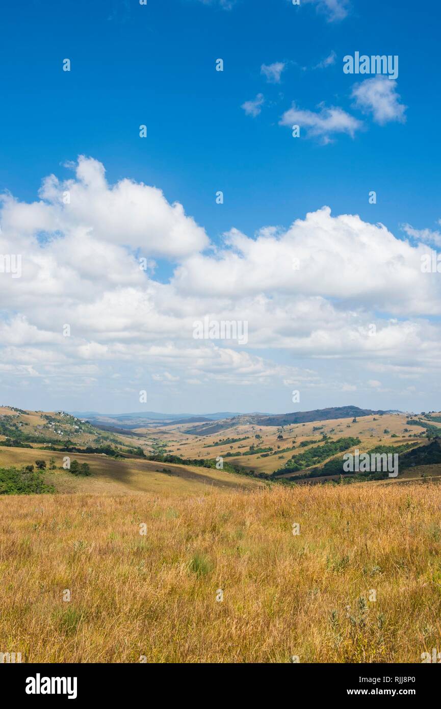 Overlook over the highlands of the Nyika National Park, Malawi Stock Photo