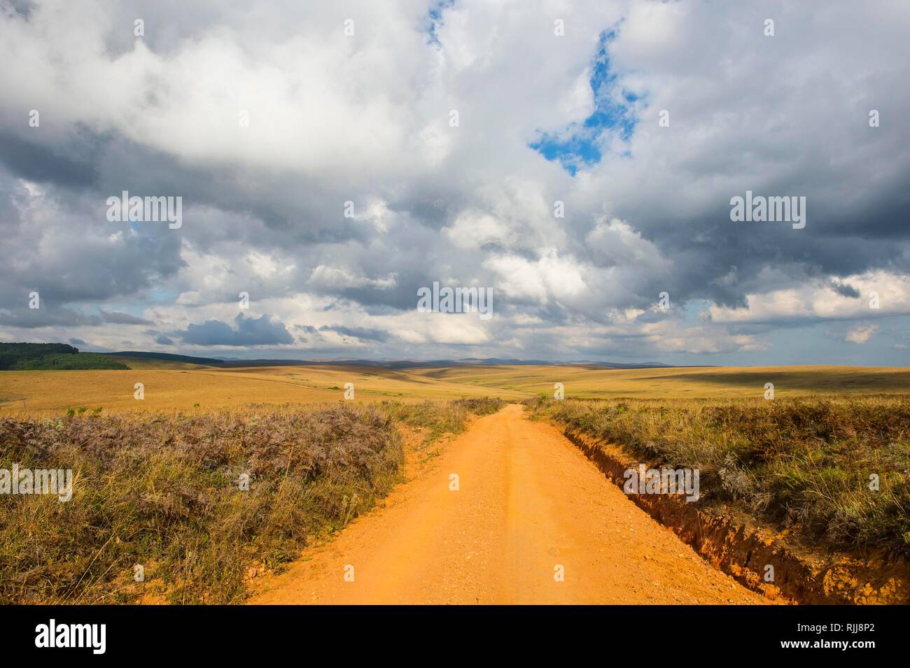 Dusty road leading through the Nyika National Park, Malawi Stock Photo