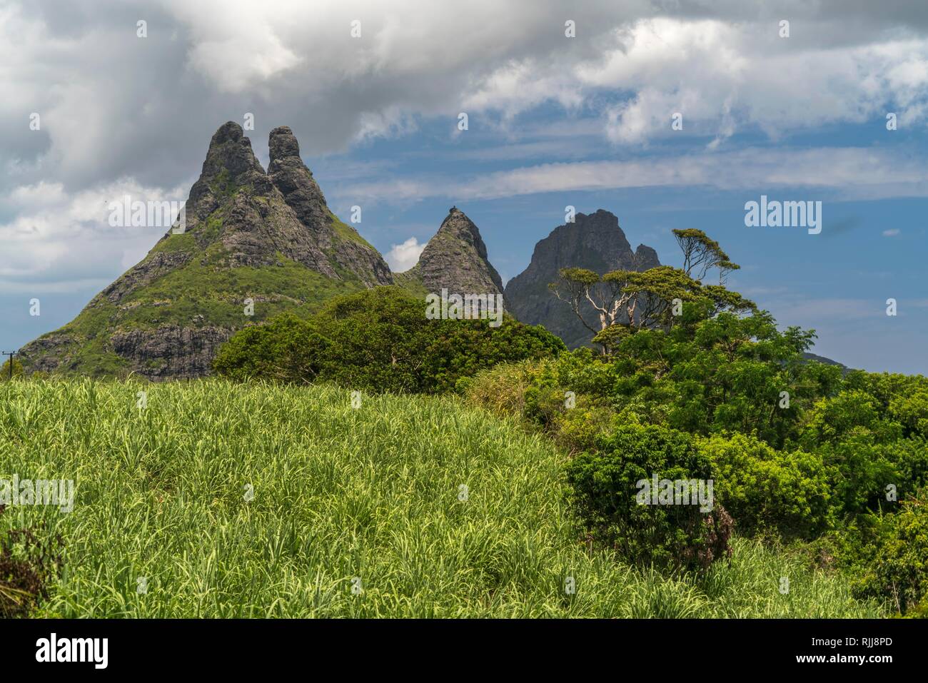 Les Trois Mamelles, Mauritius Stock Photo