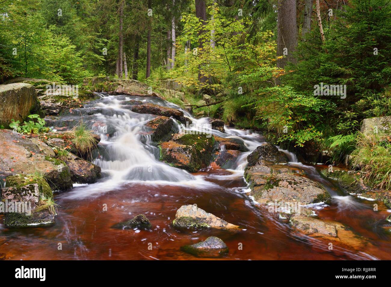 Lower Bodefall, Waterfall of the Bode in the Harz Mountains, near Braunlage, Lower Saxony, Germany Stock Photo