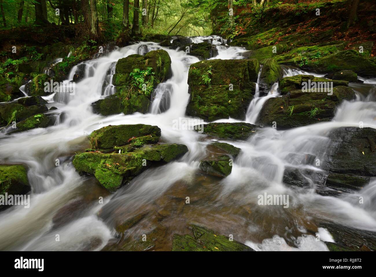 Selke Waterfall in the Harz Mountains, Saxony-Anhalt, Germany Stock Photo