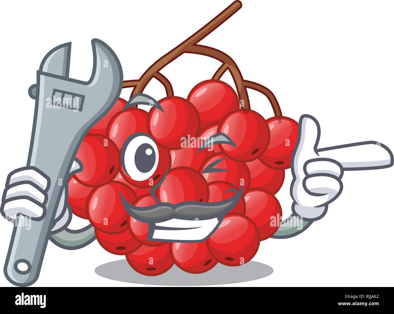 Berries rowan mountain ash sorbus Stock Vector Images Alamy