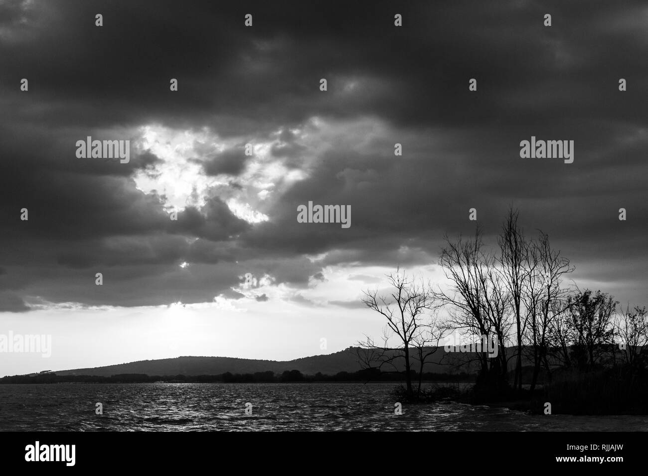 Beautiful wide angle view of a lake with an huge sky with clouds, above skeletal trees Stock Photo