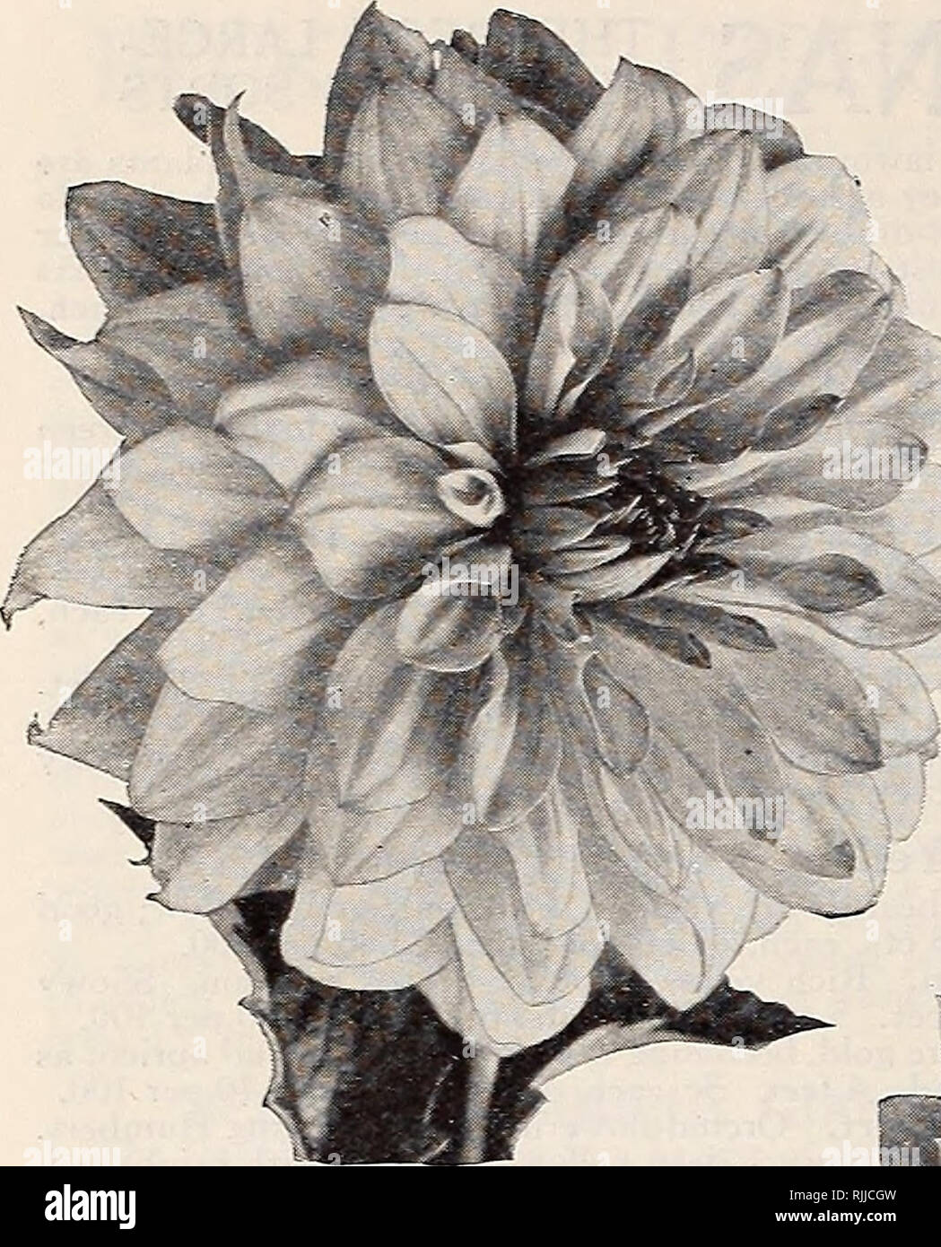 N Umber High Resolution Stock Photography And Images Alamy