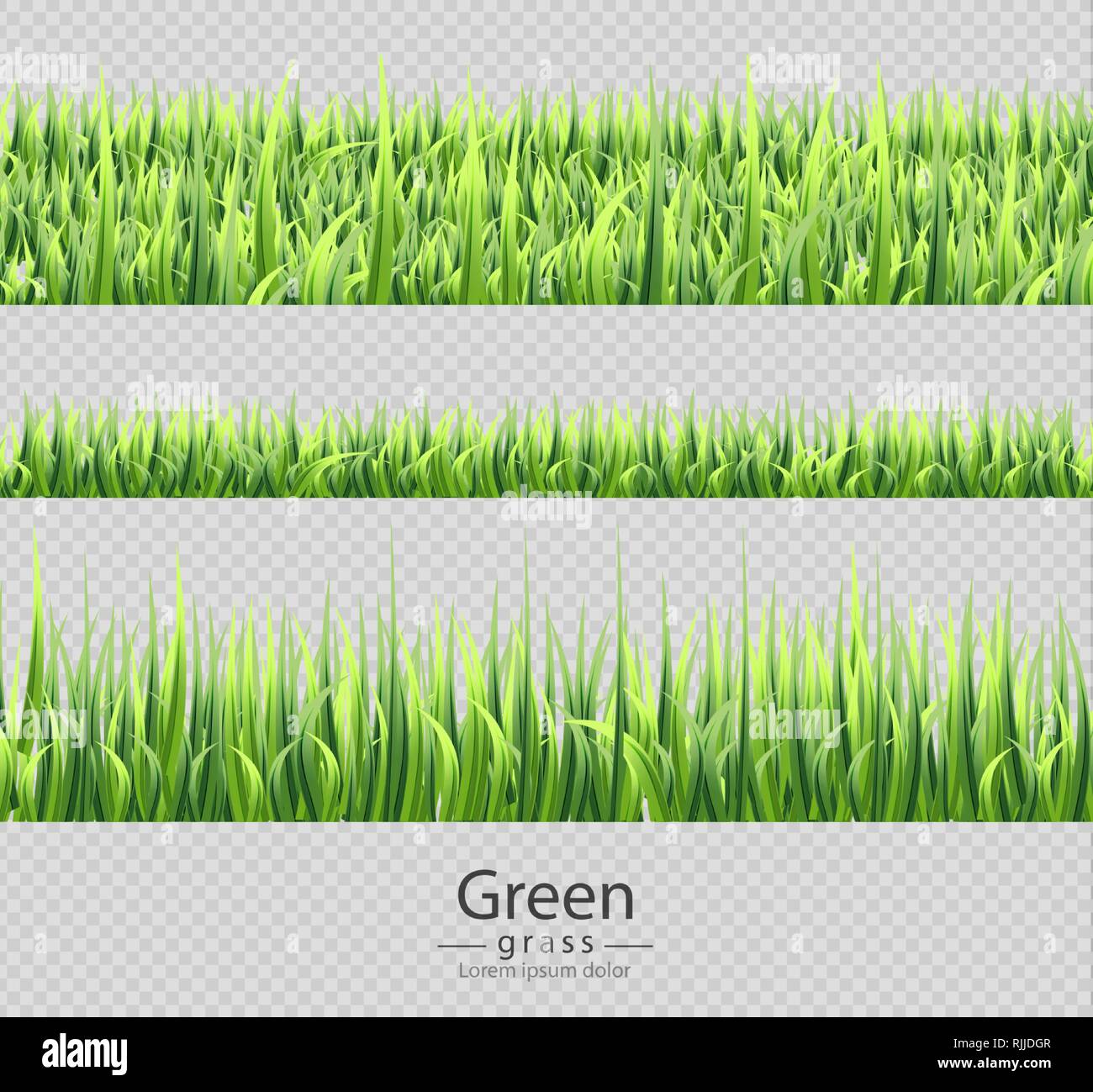 Green grass set collection isolated Vector realistic. Transparent ...