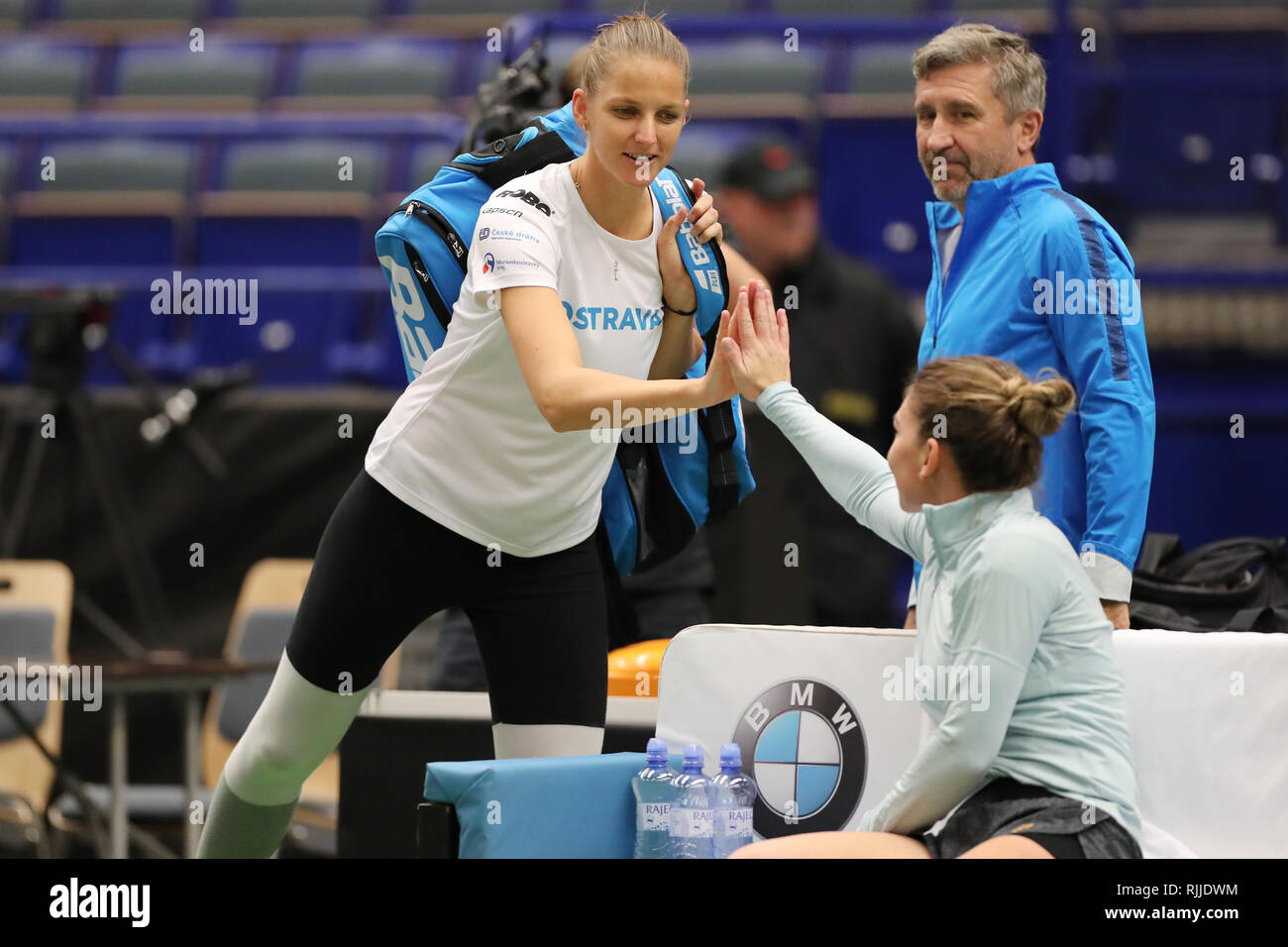 Czech tennis player Karolina Pliskova (left) greets with Romanian tennis player Simona Halep during a training session prior to the Fed Cup, World Gro Stock Photo