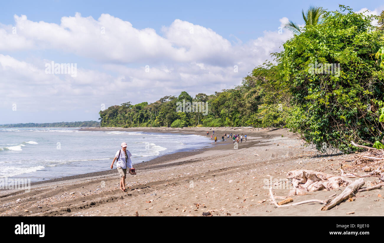 A photo of a tourist walking on a beautiful sandy beach on the background of tropical rain forest of the amazing Corcovado National Park in Costa Rica Stock Photo