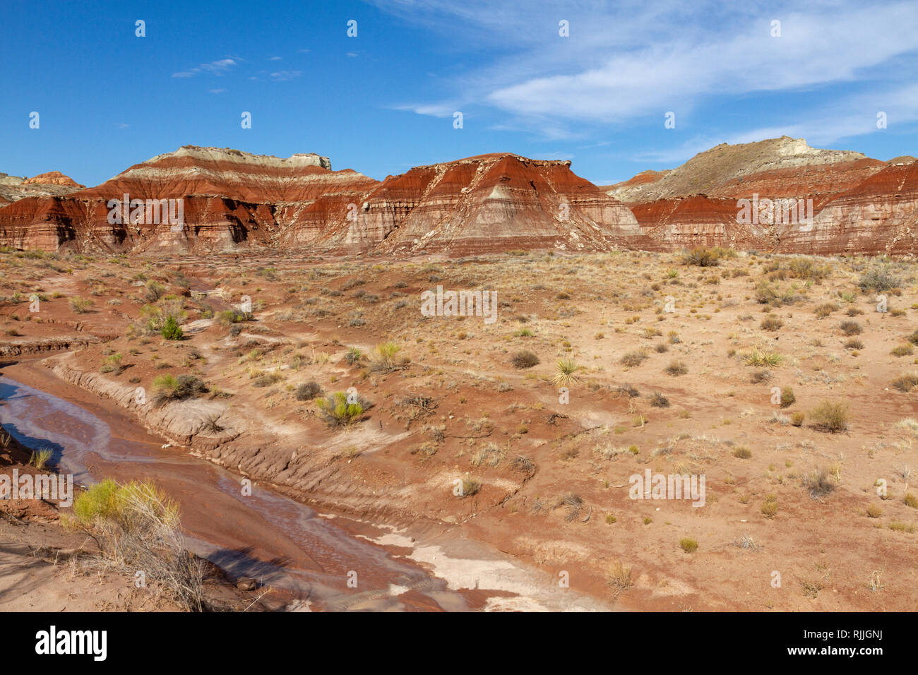 General view of the Toadstool Hoodoos area, an area of toadstool shaped balanced rocks in the Grand Staircase-Escalante National Monument, UT, USA. Stock Photo