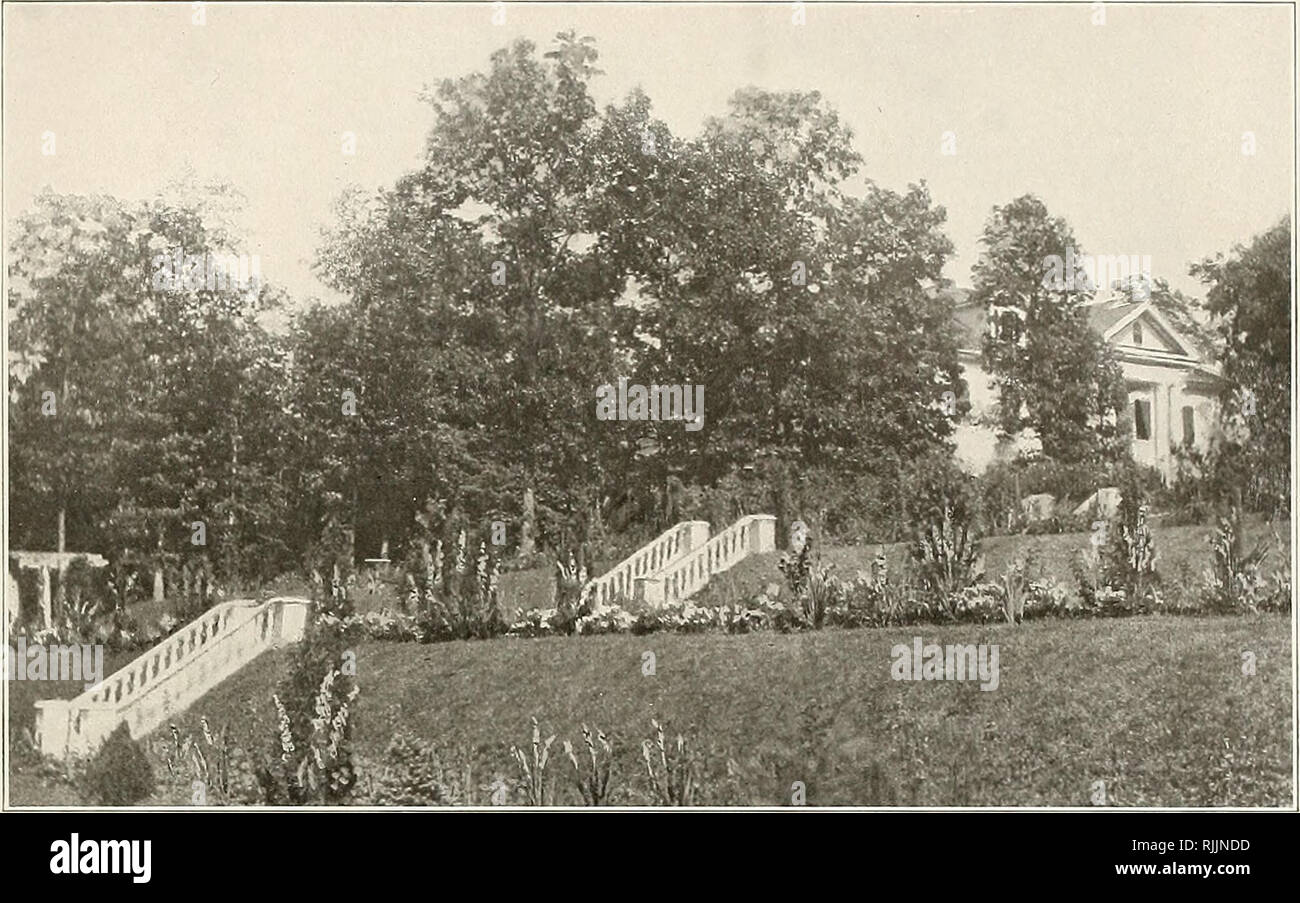 . Beautiful gardens in America. Gardens. PLATE 108 &quot;Rose Hill&quot; .J 'â &gt; ^ ' tt ^'''-^Bi ^ ^^:11 .^jtjS^HE 1 i â¢J ^'i 1^ W&quot; - .â '-â â¢ /  ^ . â â '' i-''&gt;^*.-.&quot; PLATE 109 &quot;Rose Hill,&quot; Greenwood, Va. Mrs. W. R. Massie. Please note that these images are extracted from scanned page images that may have been digitally enhanced for readability - coloration and appearance of these illustrations may not perfectly resemble the original work.. Shelton, Louise, 1867-. New York, C. Scribner's sons Stock Photo
