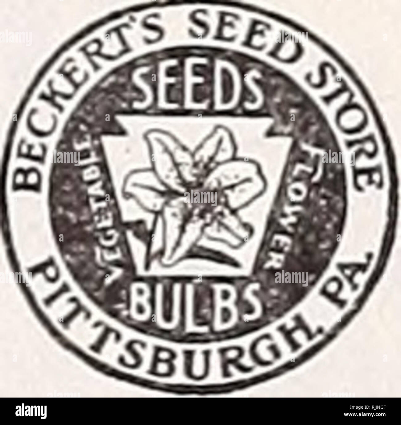 . Beckert's bulbs. Nurseries (Horticulture) Pennsylvania Pittsburgh Catalogs; Nursery stock Pennsylvania Pittsburgh Catalogs; Flowers Seeds Pennsylvania Pittsburgh Catalogs; Bulbs (Plants) Pennsylvania Pittsburgh Catalogs; Grasses Seeds Pennsylvania Pittsburgh Catalogs. BECKERT'S SEED STORE 101-103 Federal St. (North Side), PITTSBURGH, PENNSYLVANIA Send by- .Date- (State if wanted by Parcel Post, Express. Freight or Steamer) To (Name). .19. (Mr., Mrs. or Miss: write very plainly: always write name the same way) P. O. Box, Street or Rural Delivery Post Office. County Sta te. Station or Exp. Off Stock Photo