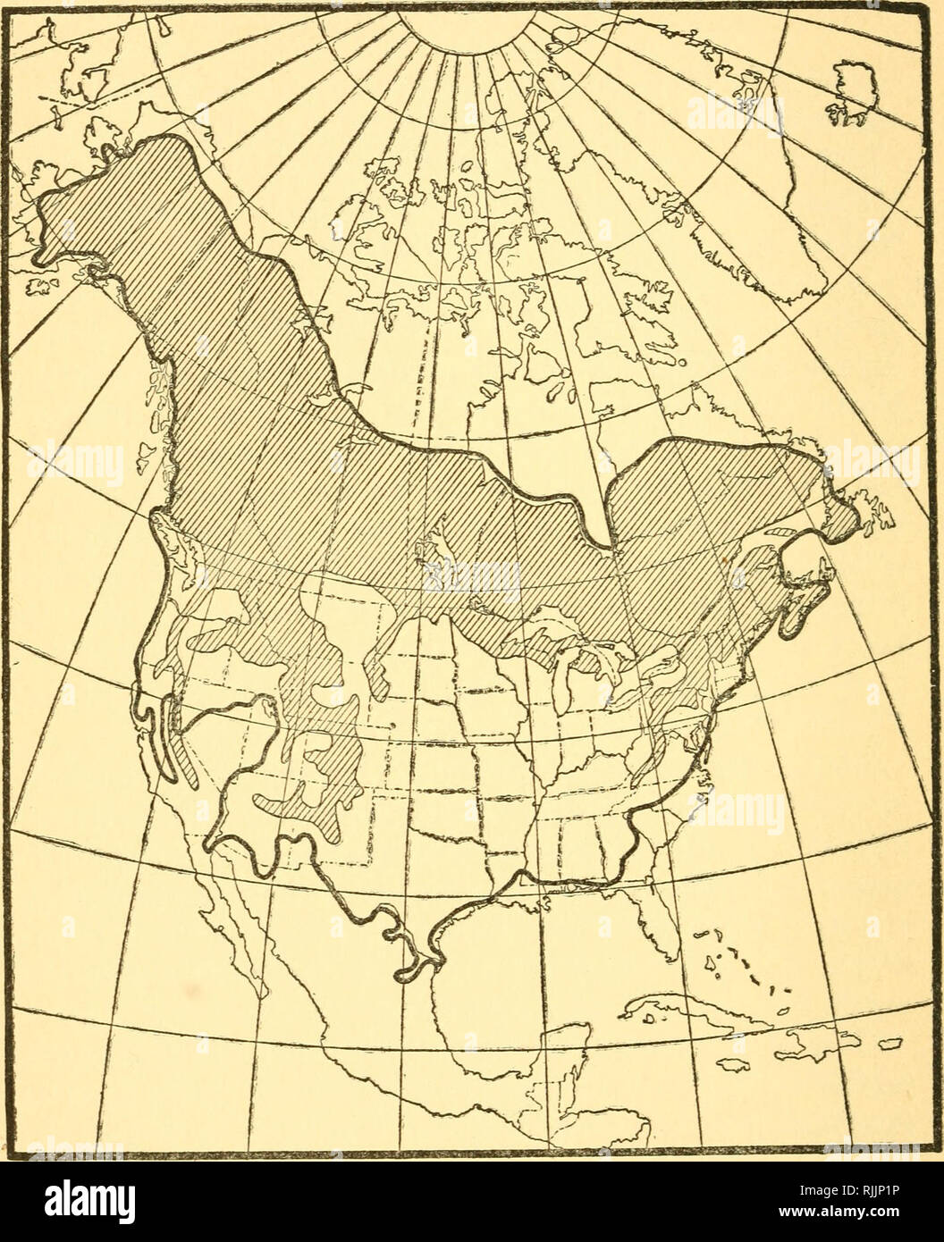 The Beaver Its Work And Its Ways Beavers Mammals 18 The Beaver Fig 7 Map Op North America Showing Distribution Of Beaver And Of The Aspen Showing The Range Of