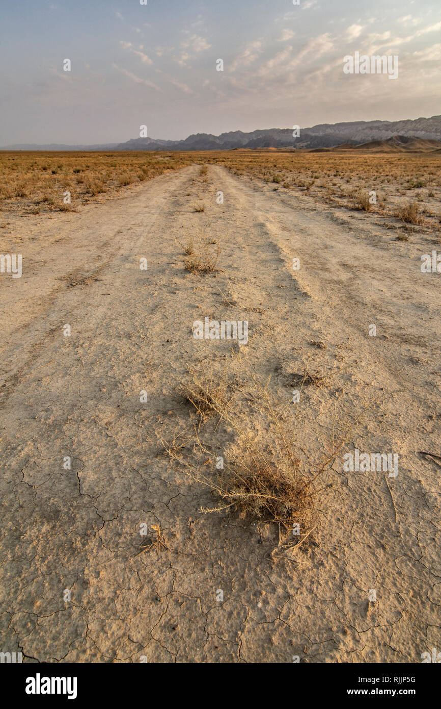 Dirt road through the arid plains of Vashlovani National Park, Georgia. Stock Photo