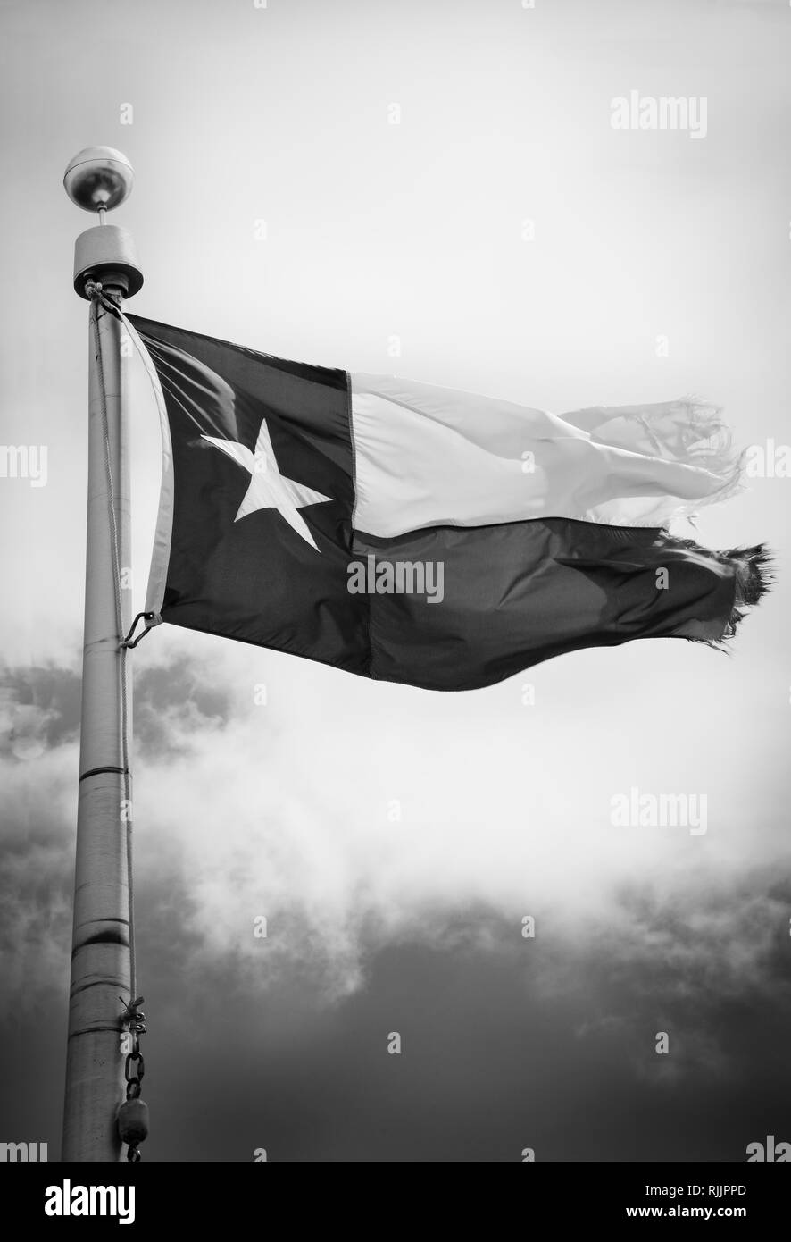 A tattered Texas State Flag waves on it's flag pole against the sky in black and white Stock Photo