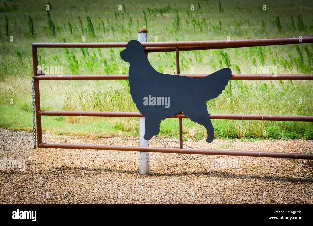 A metal gate with a flat metal black dog silhouette cutout  opened on a dirt road with meadow Stock Photo